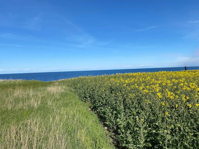 Others 4, person holiday home in Grenaa, Norddjurs