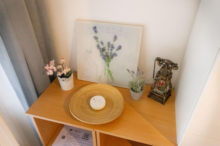 Others 4, Apartments 5 minutes walk from Old Town - 102 m2 w balcony, view, shower plus bath, Praha 7
