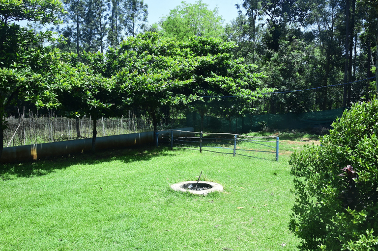 Exterior 4, Misty Green, Chikmagalur