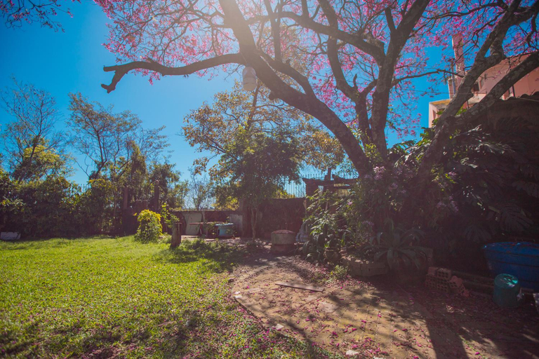 Surrounding environment