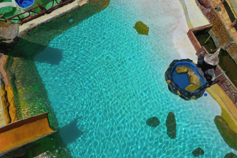 Pool 5, Hotel pekin, San Carlos