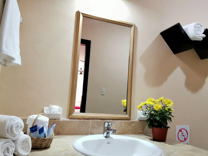 Bathroom, Hotel Casa Pellegrin, Mérida