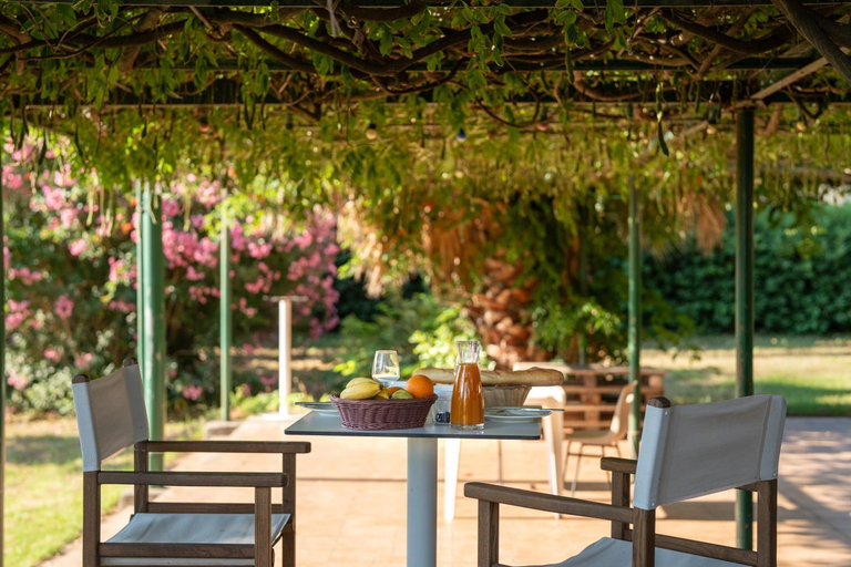 Food & Drinks 4, VVF Golfe de Saint-Tropez, Var