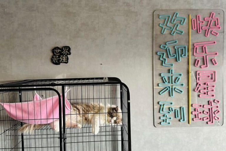 Bedroom 3, Bonjour Youth Hostel, Shenzhen