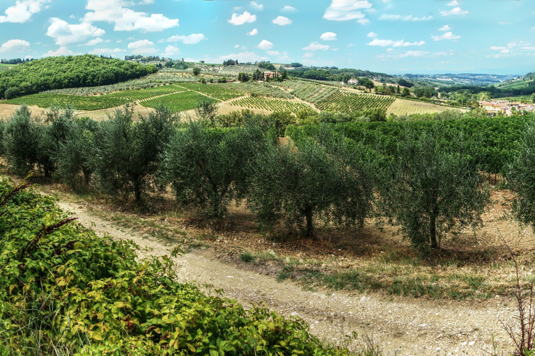 Exterior 3, Home Boccaccio Terrace and Chianti View 1, Florence