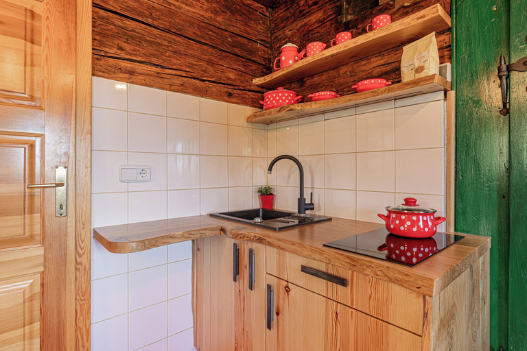 Private kitchenette, Suite Alder embraced by nature, Prevalje