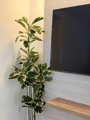 Interior detail, Luxury 1BR located in Prime Yonkers Area, Westchester