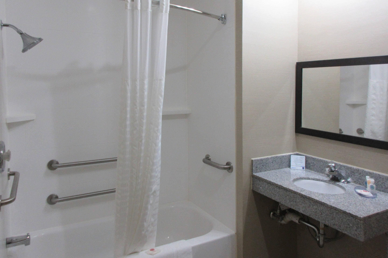 Bathroom 4, Comfort Inn Port Huron, Saint Clair