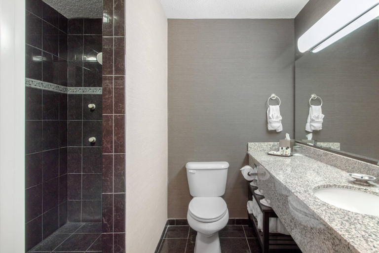 Bathroom 4, Norfolk Lodge & Suites, an Ascend Collection Hotel, Madison