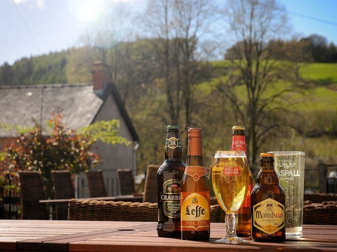 Food & Drinks 5, The Mount Inn, Powys