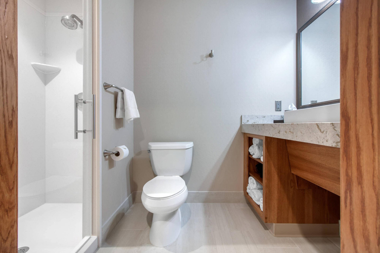 Bathroom 4, Norfolk Lodge & Suites, an Ascend Collection Hotel, Madison