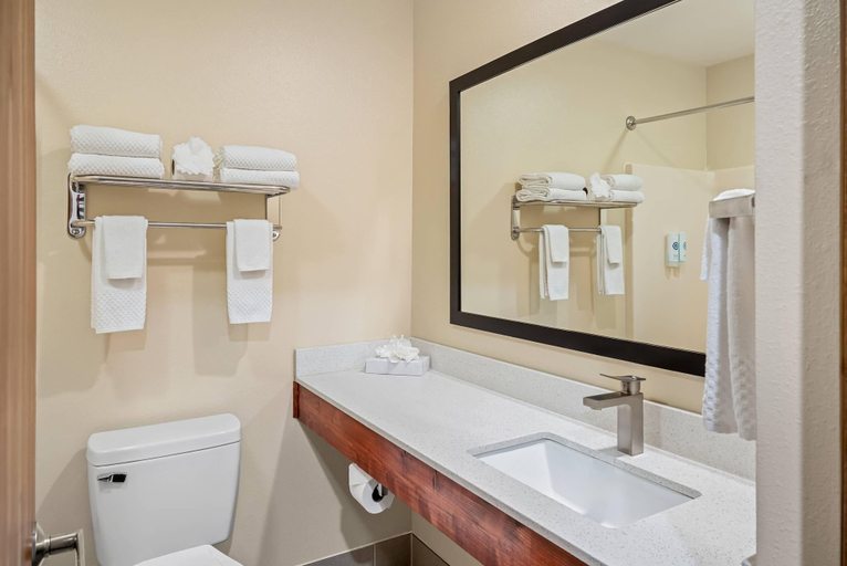 Bathroom 5, Rodeway Inn Grandville - Grand Rapids, Kent