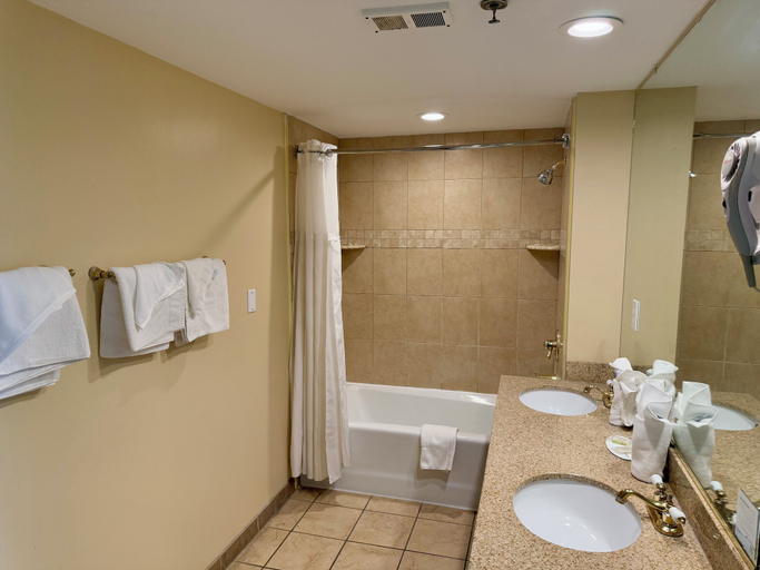 Bathroom 3, Aquarius Hotel, Virginia Beach