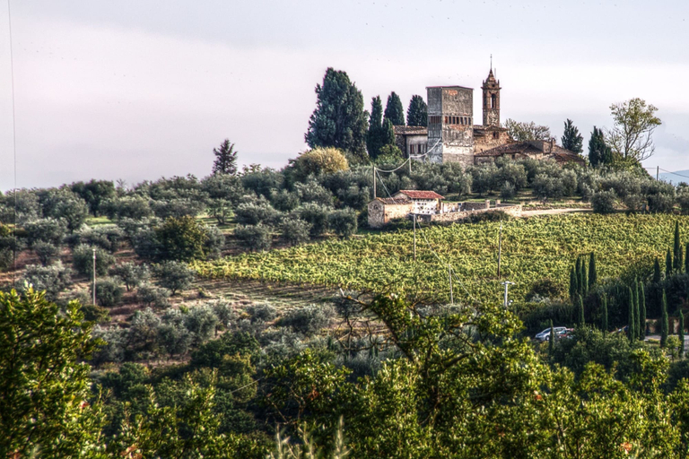 Exterior 4, Home Boccaccio Terrace and Chianti View 1, Florence