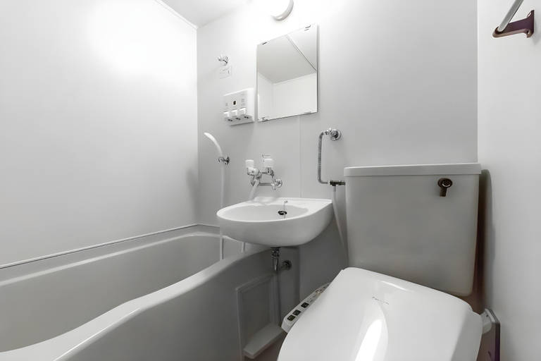 Bathroom 3, Hotel all in well, Hakodate