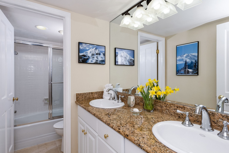 Bathroom 4, Comfortable & Modern 2 Bedroom Apartments - Right on the Slopes!, Pitkin