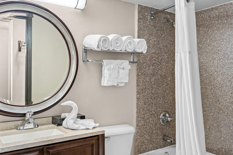Bathroom 4, Quality Inn Little Rock South, Pulaski