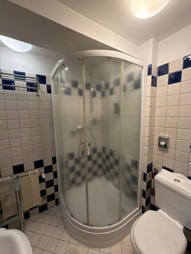 Bathroom 3, Pensjonat Alpejski Dwor, Kłodzko