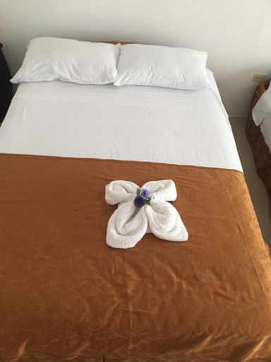 2, New Galapagos Hostelling, Santa Cruz
