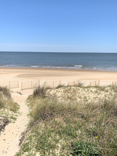 Beach 3, Break Side Studio #5 Apts by RedAwning, Norfolk