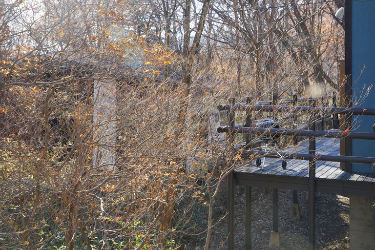 Terrace/patio 4, rinne 2nd living Nasu Creek, Nasu
