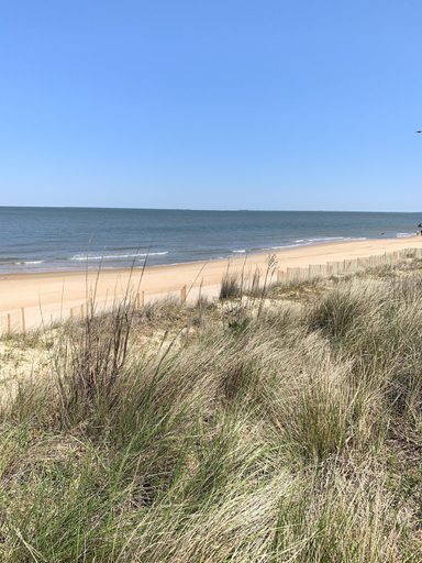 Beach 2, Break Side Studio #5 Apts by RedAwning, Norfolk