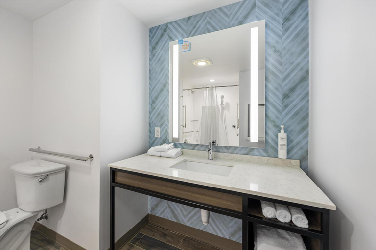 Bathroom 3, Hilton Garden Inn Gallatin, Sumner