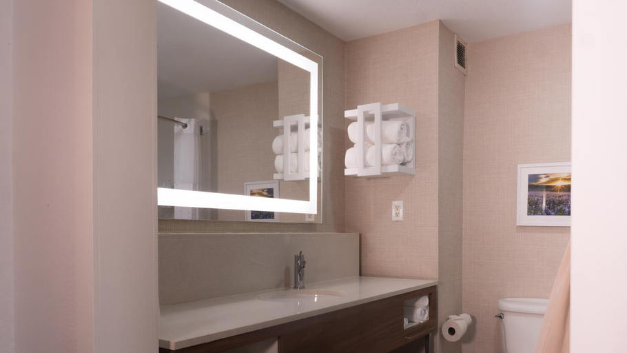 Bathroom 4, Hampton Inn & Suites Houston-Katy, Houston