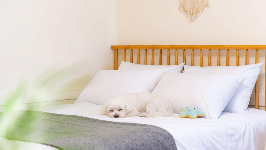 Bedroom 2, Taean WithDog Aegyeonspa Poolvilla, Taean