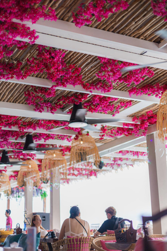 Food & Drinks 5, LOVE Beach Club, Ko Samui