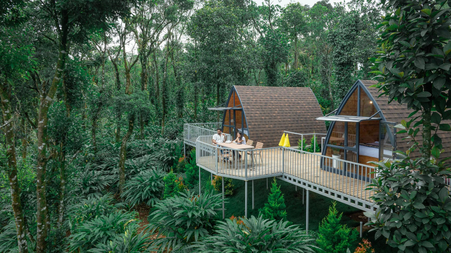 Attractions 5, Vanani Luxury Glamping and Resort Munnar, Theni