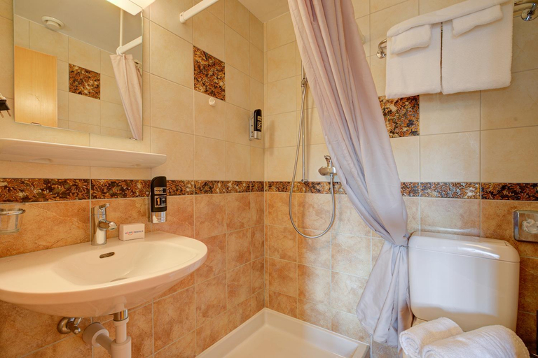 Bathroom 4, Hotel le Relais Alpin, Aigle