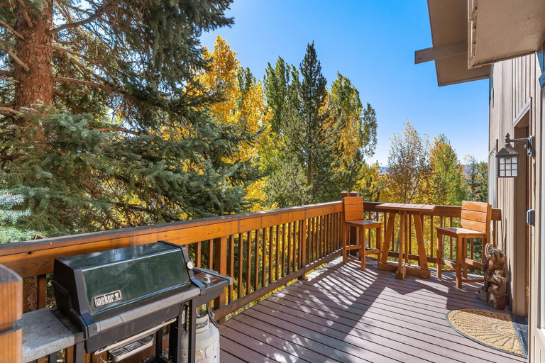 BBQ/picnic area, Winterset 7 4 Bedroom Condo, Routt