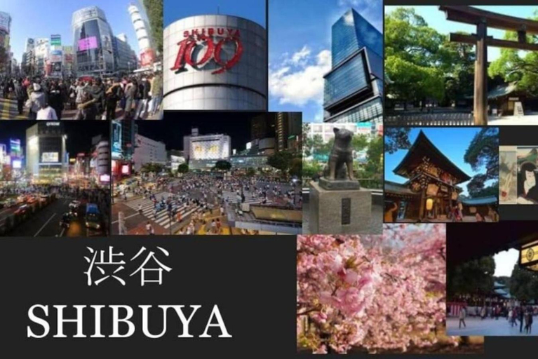 Nearby attraction 4, Rosenheim, Shinjuku
