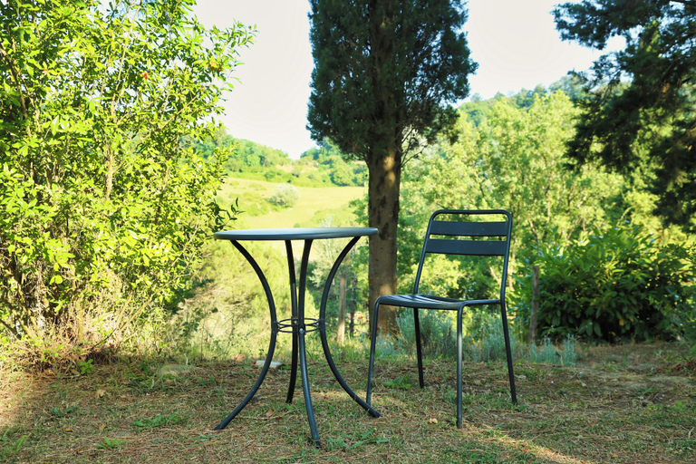 Exterior 4, Agriturismo Polgara, Pisa