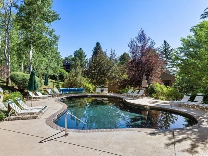 Pool 5, Remodeled Snowmass Pet-Friendly Modern 1BR Condo - G125, Pitkin