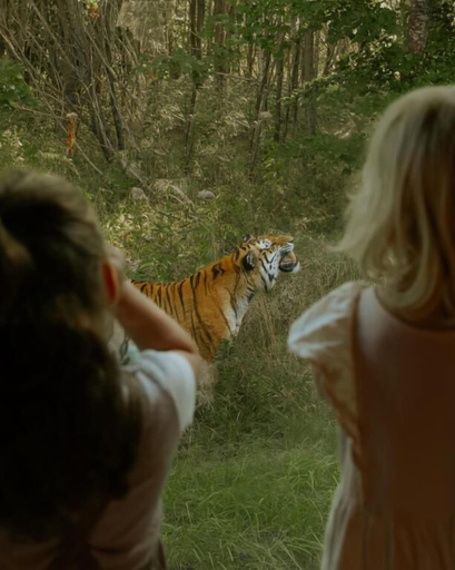 Miscellaneous 3, Knuthenborg Safaripark, Lolland