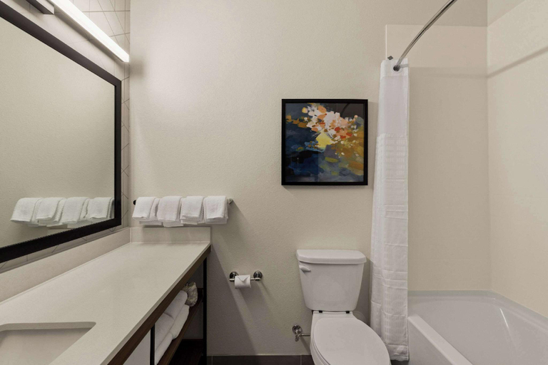 Bathroom 5, Everhome Suites Waco by Choice Hotels, McLennan