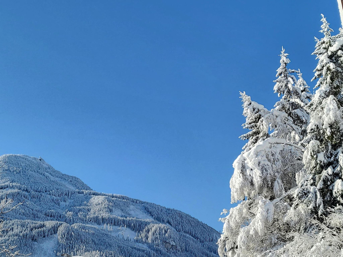 Others 5, Apartment in Hohe Tauern near Wildkogel Arena, Zell am See