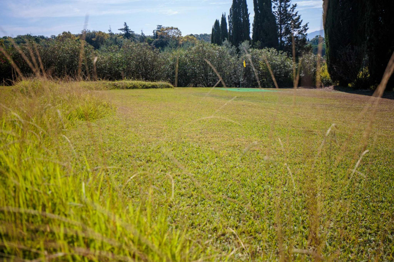 Others 4, Villa D'Amico in Lucca, Lucca