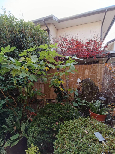 Others 5, 菊の宿 民泊, Kōfu