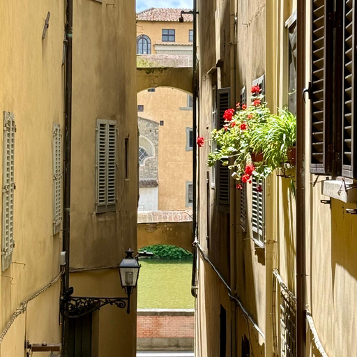 View 2, Hotel Cestelli, Florence