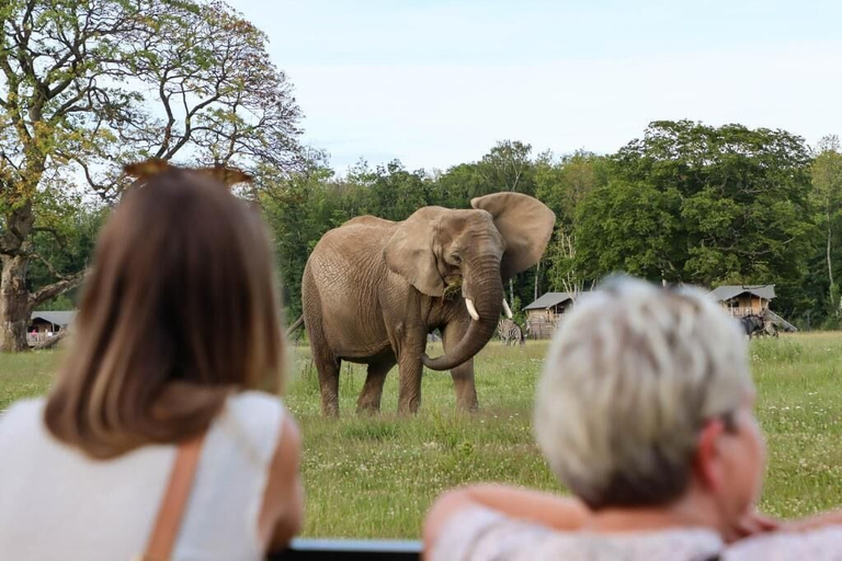 Miscellaneous 4, Knuthenborg Safaripark, Lolland