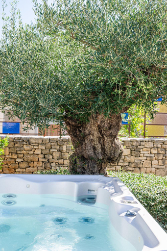 Others 2, Secret d'Uzes - Le Duche - Piscine chauffee et Jacuzzi, Gard