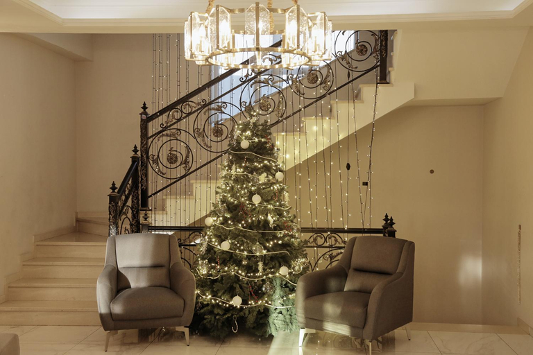 Others 5, Phazisi Hotel, Tbilisi