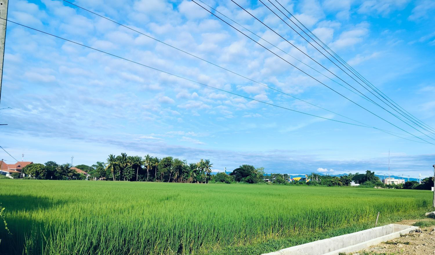 Others 4, Bannoi Himsuan, San Pa Tong
