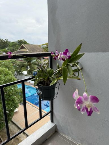 Others 2, Maria's Guest House, Rawai, Pulau Phuket