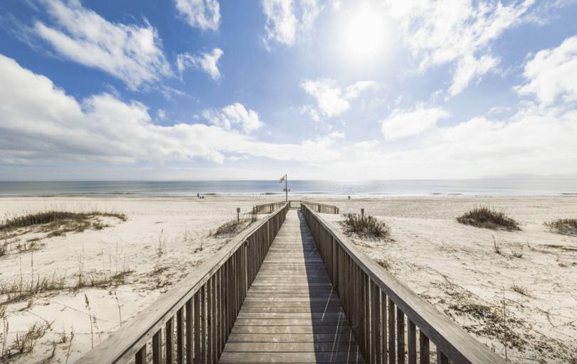 Beach 5, Beach Club 1109 D, Baldwin