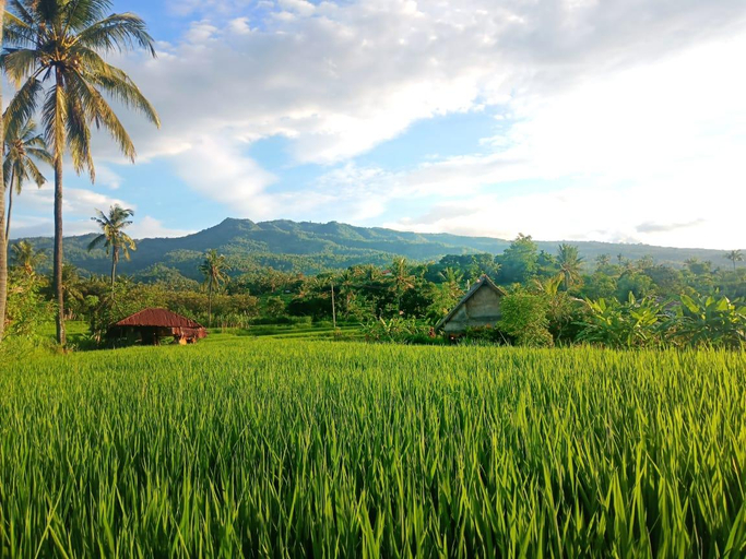 Others 2, Cute Eco Cottage Near 7 Waterfalls, Buleleng