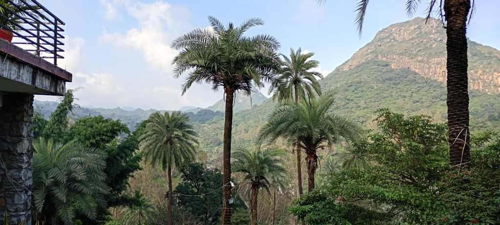 View 2, Grand Valley - A boutique Resort in Mount Abu, Sirohi